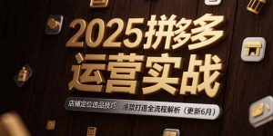 2025拼多多运营实战:店铺定位选品技巧,爆款打造全流程解析(更新6月-聊项目