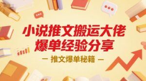 小说推文搬运大佬爆单经验分享，推文爆单秘籍-聊项目