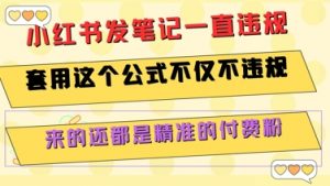 小红书发笔记一直违规,套用这个公式不仅不违规,来的还都是精准的付费粉-聊项目