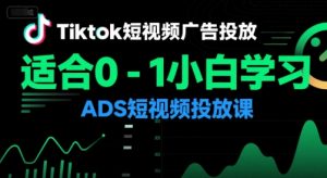 Tiktok短视频广告投放,适合0-1小白学习ADS短视频投放课-聊项目