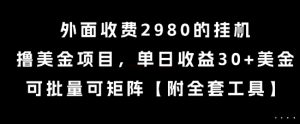 外面收费2980的挂G撸美金项目，单日收益30+美金，可批量可矩阵【揭秘】-聊项目