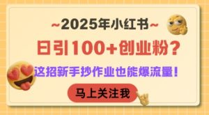 2025年小红书日引100+创业粉?这招新手抄作业也能爆流量!-聊项目