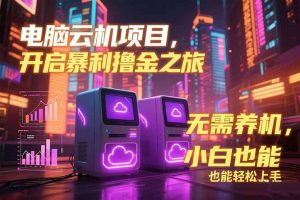 电脑云机项目 暴力撸金玩法,不需要养机 配置没有要求 单机100个窗口一…-聊项目