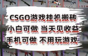 CSGO游戏挂G搬砖,小白纯手机即可操作,不用电脑打游戏,日入3张+,副业网创项目【揭秘】-聊项目