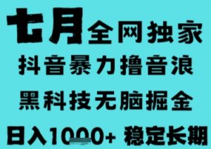 7月最新风口抖音无人直播撸音浪,长期稳定,非短期,全自动运行,低门槛无脑,日入1k+【揭秘】-聊项目