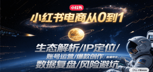 小红书电商从0到1:生态解析/IP定位/ 账号运营/爆款创作/直播带货/数据复盘/风险避坑-聊项目
