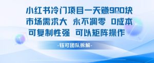 小红书冷门项目一天收益9张，市场需求大，0成本，可复制性强可以矩阵操作-聊项目