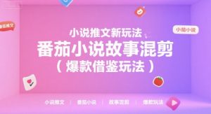 小说推文新玩法,番茄小说故事混剪(爆款借鉴玩法)-聊项目