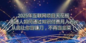 2025年互联网项目天花板,普通人如何通过卖项目实现逆风翻盘,月入5W+!-聊项目
