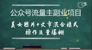 公众号流量主副业项目，美女图片+文章混合模式操作流量爆棚-聊项目