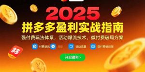 拼多多盈利实战指南，强付费玩法，活动爆流技术，微付费破局方案(更新7月-聊项目