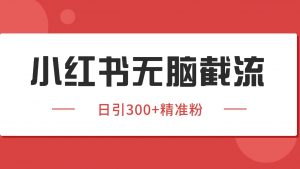 小红书截流同行客源，独家野路子获客玩法 日引200+暴力获客-聊项目