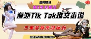 海外tiktok小说推文暴力项目，高停留率，高转化率，上手后一天搞顿饭钱不是问题-聊项目