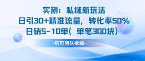 实测私域新玩法日引30加精准流量转化率50%日销5-10单每笔3张-聊项目