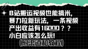 b站掘金计划?搬运视频也能挣拉新的收益,小白应该怎么玩!-聊项目
