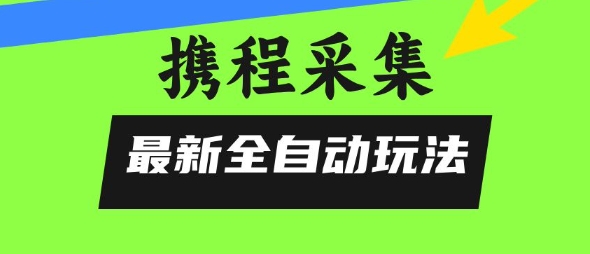 携程信息采集全自动玩法，0风控，无脑开干【揭秘】-聊项目