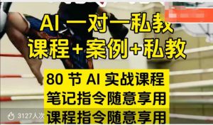 AI指令实战课,课程+案例,80节AI实战课程,笔记指令随意享用,课程指令随意享用(更新7月)-聊项目