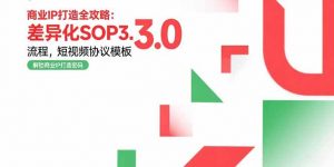 商业IP打造全攻略：差异化SOP3.0流程，短视频协议模板，婚恋项目实战案例-聊项目