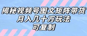 解密视频号图文矩阵带货,月入几个W的打法,可复制-聊项目