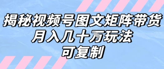 解密视频号图文矩阵带货，月入几个W的打法，可复制-聊项目