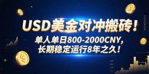 USD美金对冲搬砖!单人单日800-2000CNY,长期稳定运行8年之久!-聊项目