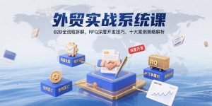 外贸实战系统课:B2B全流程拆解,RFQ深度开发技巧,十大案例策略解析-聊项目