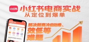 小红书电商实战,从定位到爆单解决新商冷启动难、变现效率低等难题-聊项目