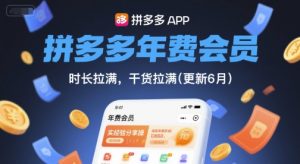 拼多多年费会员，实经验分享操，时长拉满，干货拉满(更新8月)-聊项目