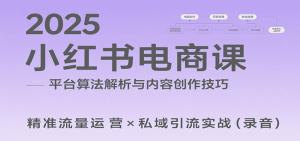 2025小红书电商课:解析算法,创作高转化内容,助力卖家获取流量实现变现(录音)-聊项目