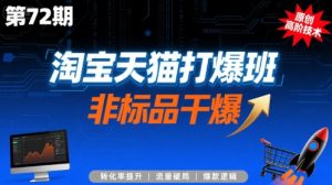 淘宝天猫打爆班原创高阶技术第72期,非标品干爆-聊项目