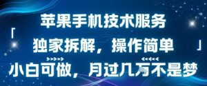 苹果手机技术服务，独家拆解，操作简单，小白可做，月过1W不是梦-聊项目
