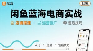 闲鱼蓝海电商实战，店铺搭建运营售后全流程-聊项目