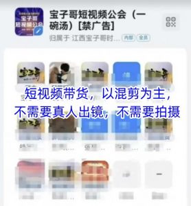 宝子哥头部团队短视频带货,以混剪为主,不需要真人出镜,不需要拍摄【更新8月】-聊项目