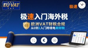 极速入门海外税,欧洲VAT财税合规,从0到1入门跨境电商财税-聊项目