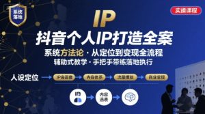 抖音个人IP系统落地实操大课,实操课程,辅助落地-聊项目