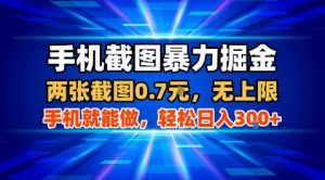 手机截图暴力掘金,两张截图0.7米,一部手机就能做,轻松日入3张+【揭秘】-聊项目