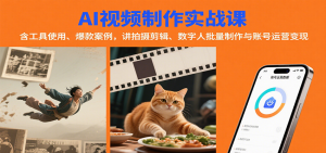 AI视频制作实战：含工具使用、爆款案例，讲拍摄剪辑、数字人批量制作与账号运营变现-聊项目