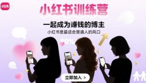 小红书训练营一起成为賺钱的博主,小红书是最适合普通人的风口-聊项目