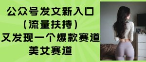 公众号发文新入口(流量扶持-聊项目