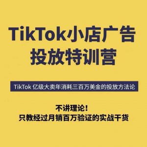 TikTok小店广告投放特训营,6天破局计划专治各种“投不动”,教你经过月销百万验证的实战干货-聊项目