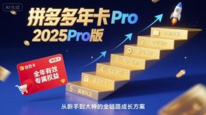 拼多多年卡2025Pro版，五大板块从认知到基础、从推广到活动、从活动到玩法-聊项目