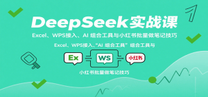 DeepSeek实战课：Excel、WPS接入、AI 组合工具与小红书批量做笔记技巧-聊项目