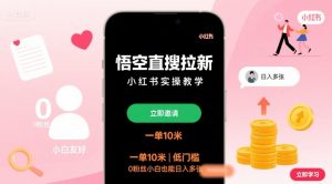 悟空直搜拉新小红书实操教学,一单10米,低门槛,0粉丝小白也能日入多张-聊项目