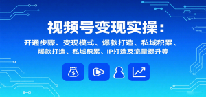 视频号变现实操,含开通步骤、变现模式、爆款打造、私域积累、IP打造及流量提升等-聊项目