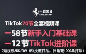 TikTok全套视频课,新手入门+进阶课,短视频ADS-GMV MAX投流打品,日销破1000单打法-聊项目