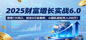 2025财富增长实战6.0,聚焦7大风口,结合6行业案例,小团队轻松年入200万!-聊项目