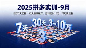 2025拼多多实训-9月:新手7天起量,30天日销破万,月利润3-10万,可矩阵复制-聊项目