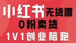 小红书无货源0粉电商课,开店准备、选品策略、笔记撰写、视频剪辑、数据分析、账号打造、资料文档-聊项目