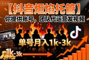 【抖音炬焰托管】你提供账号,团队代运营发视频,单号月入1k+【揭秘】-聊项目