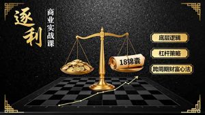 《逐 利》商业实战课,底层逻辑、杠杆策略、18锦囊,跨周期财富心法-聊项目